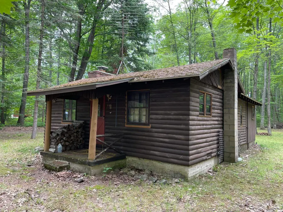 231 Dyer, Rose, MI 48654 - #2