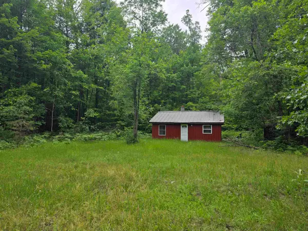 6300 Kerr, Hale, MI 48739
