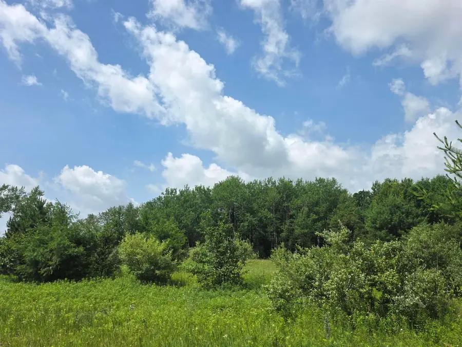 00 Sage Lake RD, Lupton, MI 48635 - #3