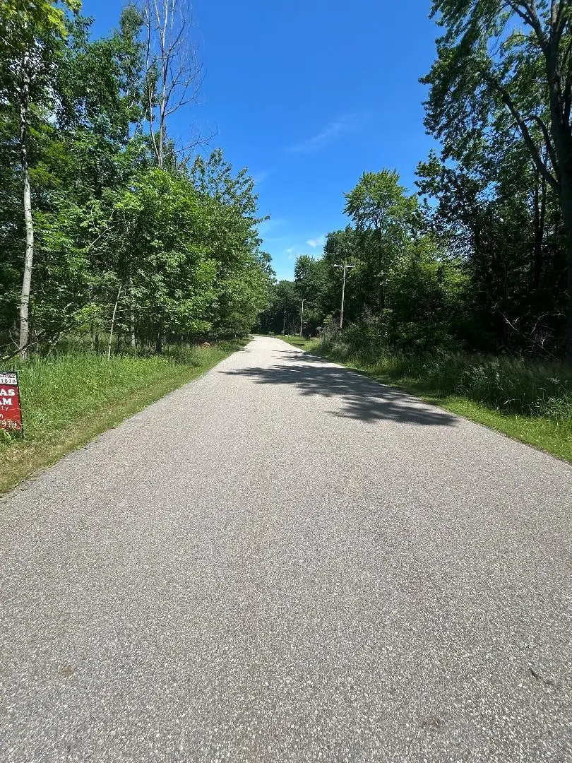 S Point Lookout RD, Sims, MI 48703 - #2
