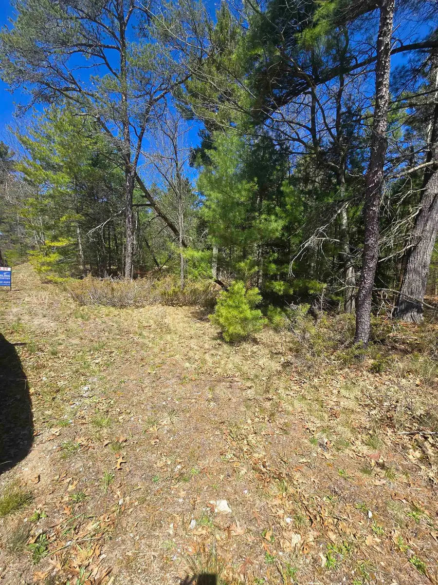 4699 Johnson, Oscoda, MI 48750 - #2