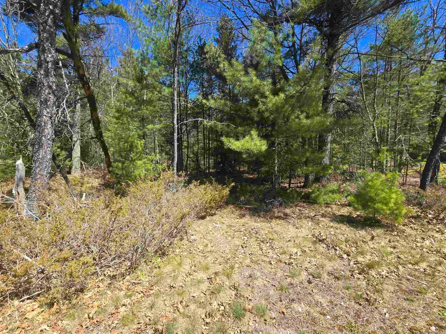 4699 Johnson, Oscoda, MI 48750 - #3