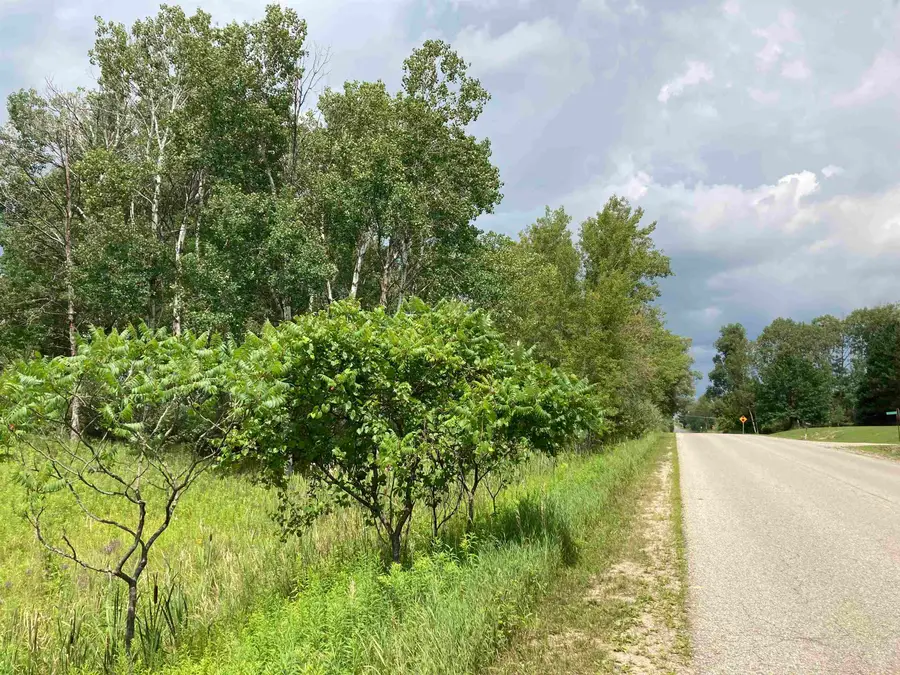 N/A Beechwood, Rose, MI 48654 - #3