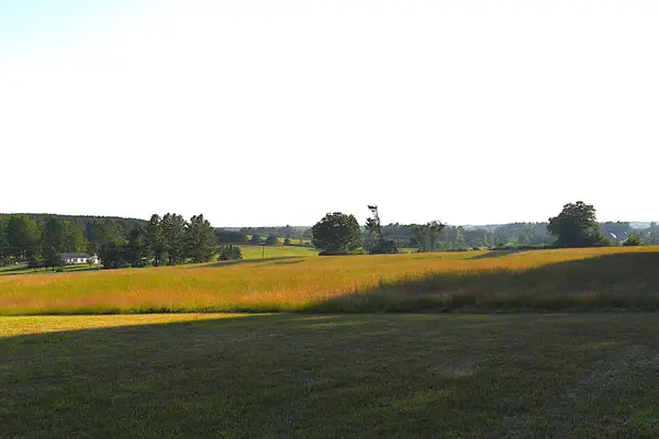 0 E Ritchie RD, Lincoln, MI 48742