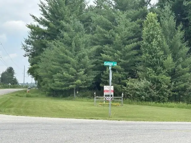 0 Wilber RD, Baldwin, MI 48730 - #1