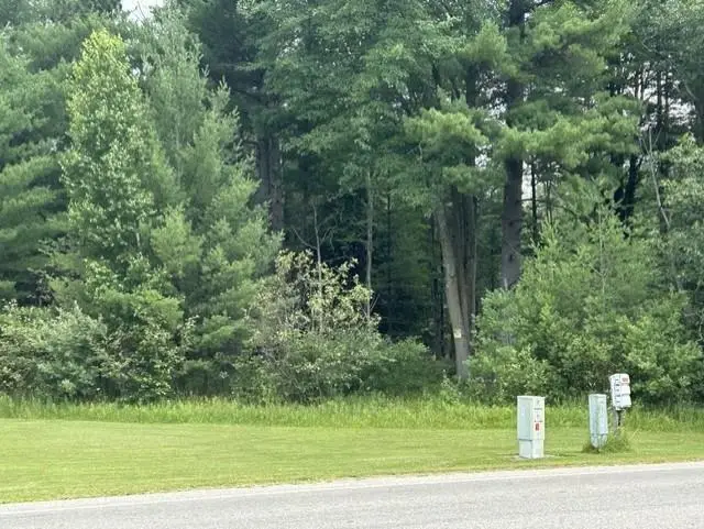 0 Wilber RD, Baldwin, MI 48730 - #2