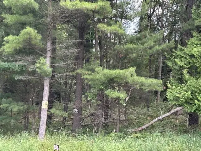 0 Wilber RD, Baldwin, MI 48730 - #3