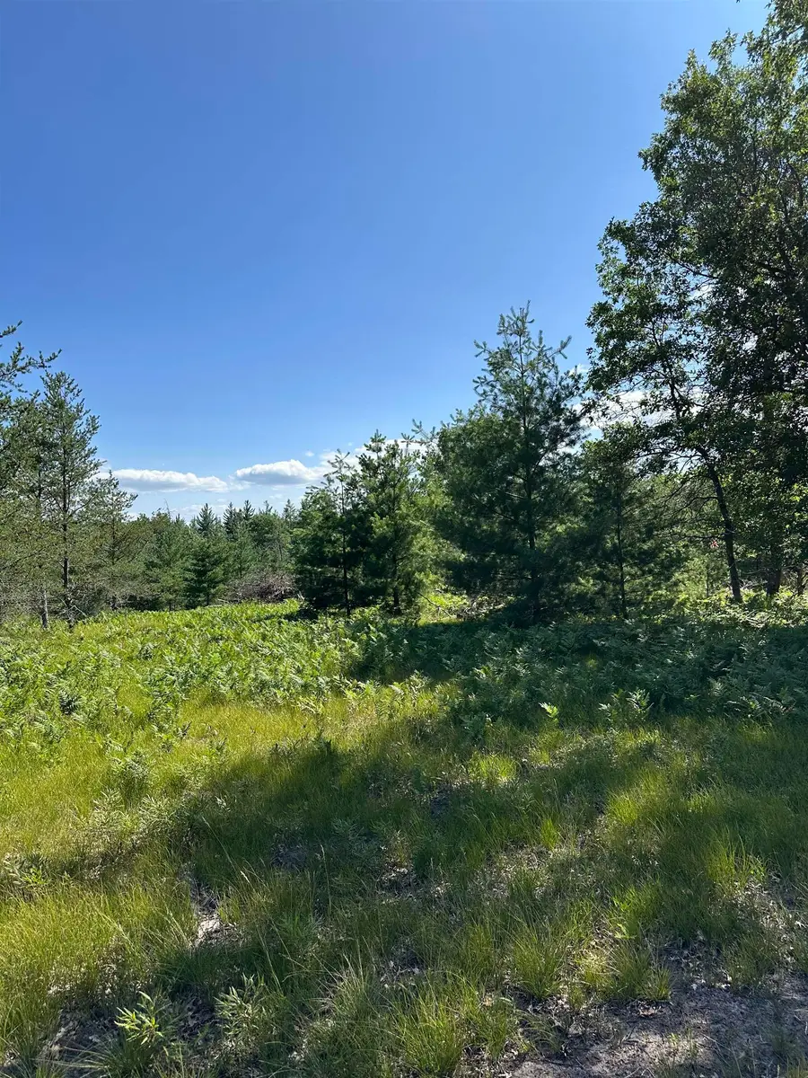 2095 Vaughn RD, Sand Lake, MI 48748 - #3