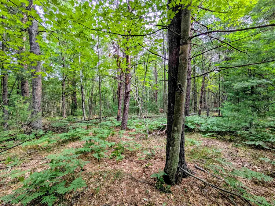 Hillside, Alger, MI 48610 - #2