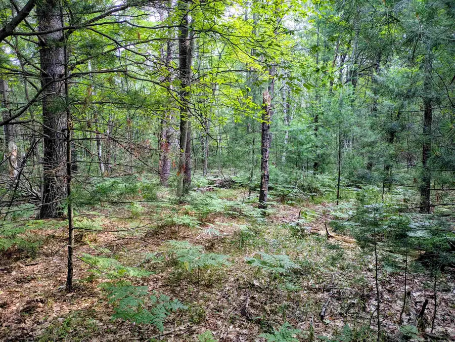 Hillside, Alger, MI 48610 - #3