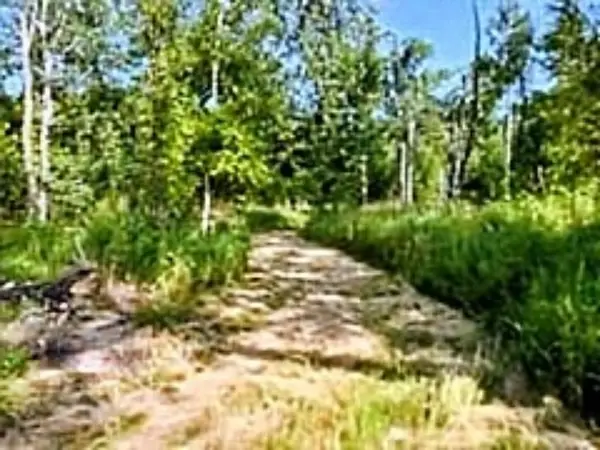 N/A Shenfield, Turner, MI 48765