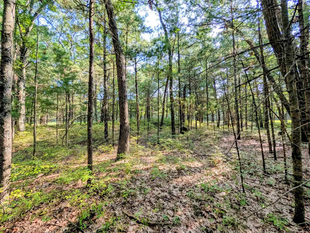 N/A Huron Breeze, Sims, MI 48703 - #1