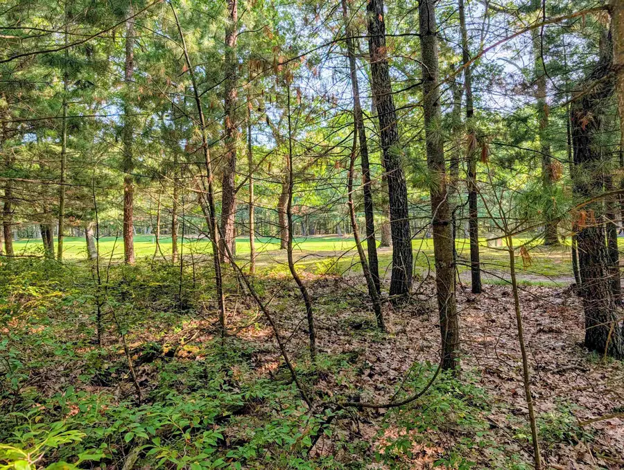 N/A Huron Breeze, Sims, MI 48703 - #3