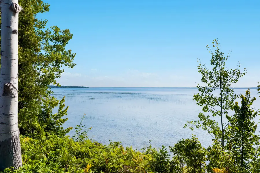 4800 S West Bay Shore, Bingham, MI 49682 - #2