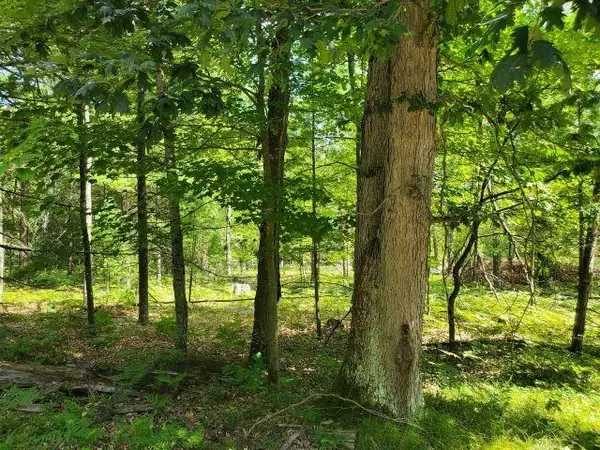 0 Turtle Lake, Prescott, MI 48756