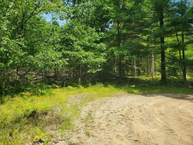 0 Turtle Lake, Prescott, MI 48756 - #2