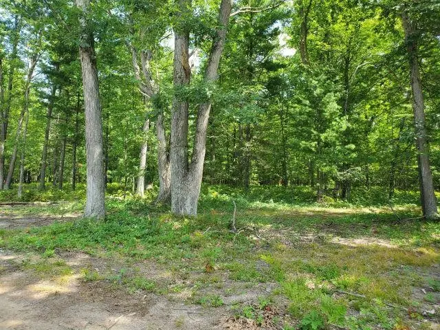 0 Turtle Lake, Prescott, MI 48756 - #3