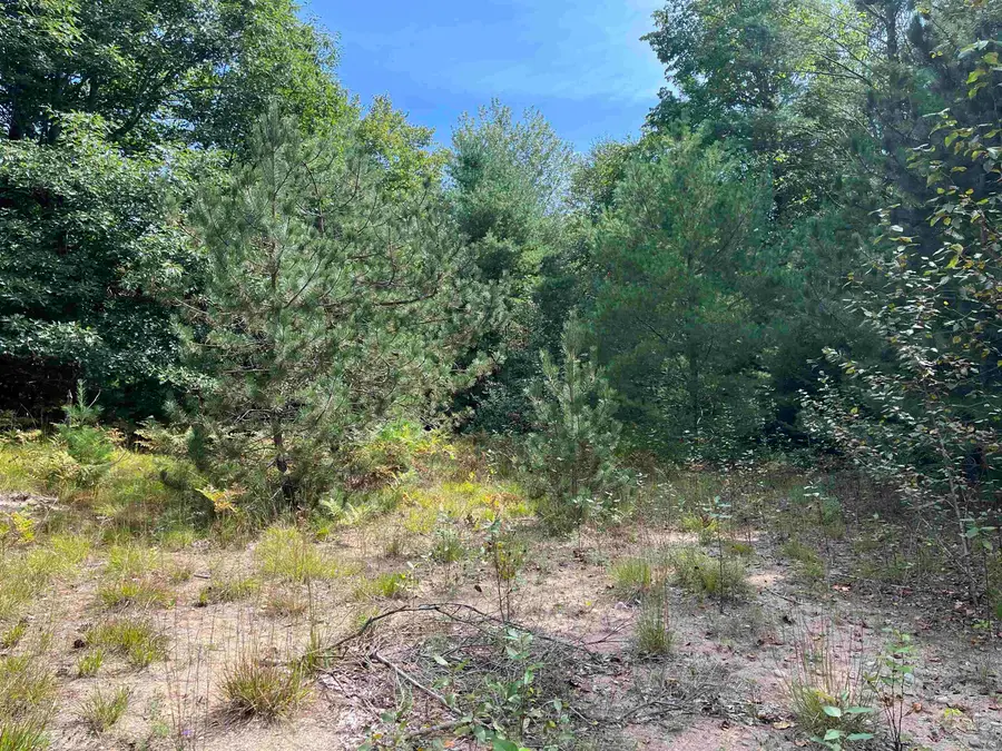 0 Cedar Lake RD, Greenbush, MI 48738 - #2