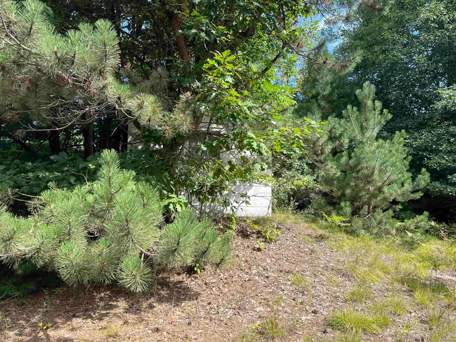 0 Cedar Lake RD, Greenbush, MI 48738 - #3
