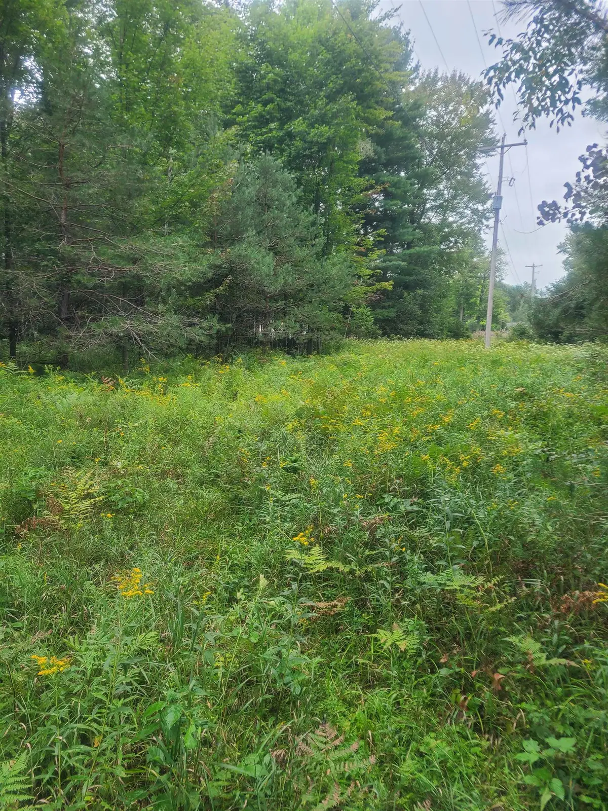 00 M-55, Whittemore, MI 48770 - #1