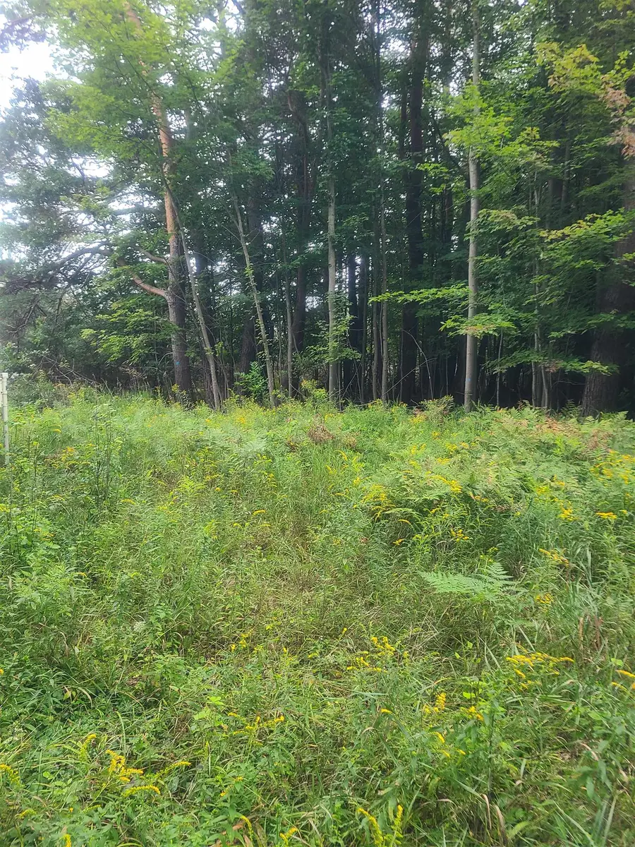 00 M-55, Whittemore, MI 48770 - #2