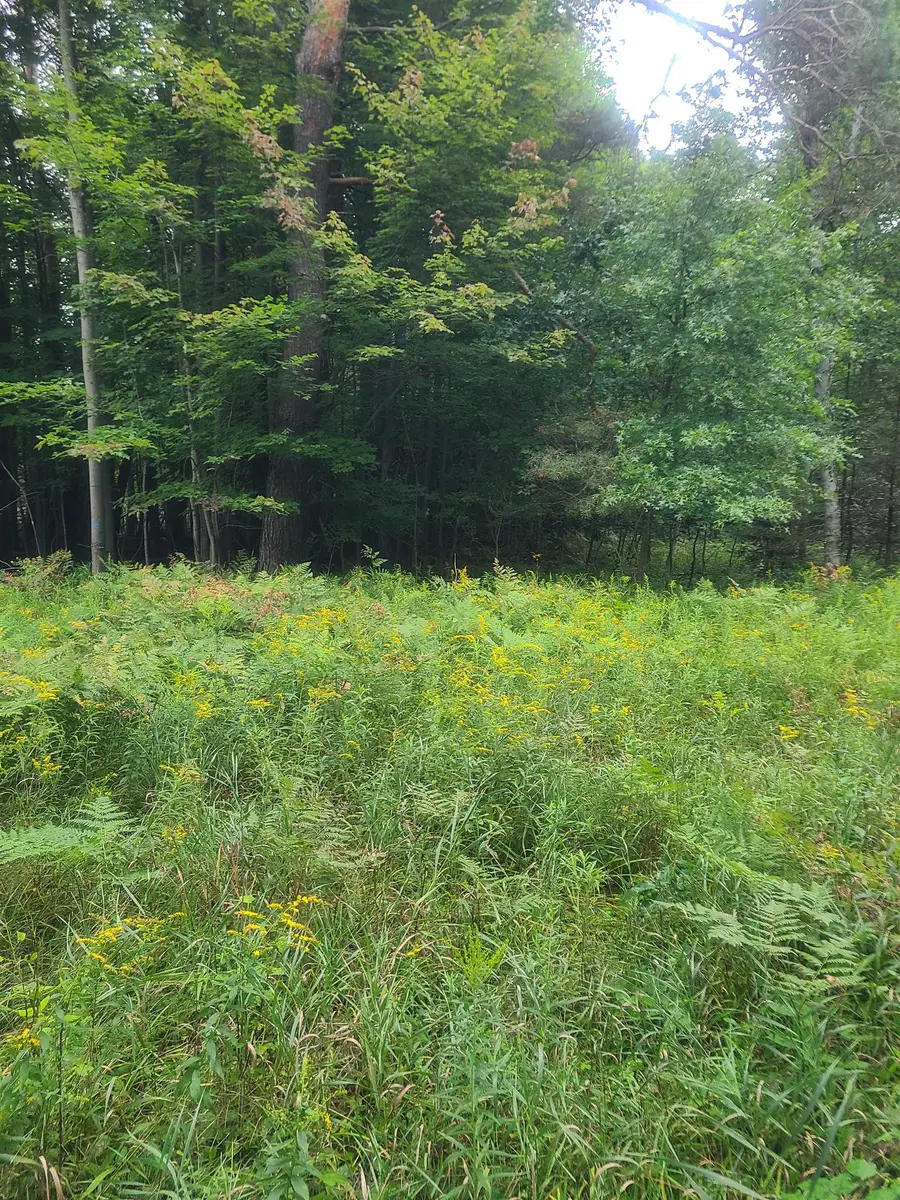 00 M-55, Whittemore, MI 48770 - #3