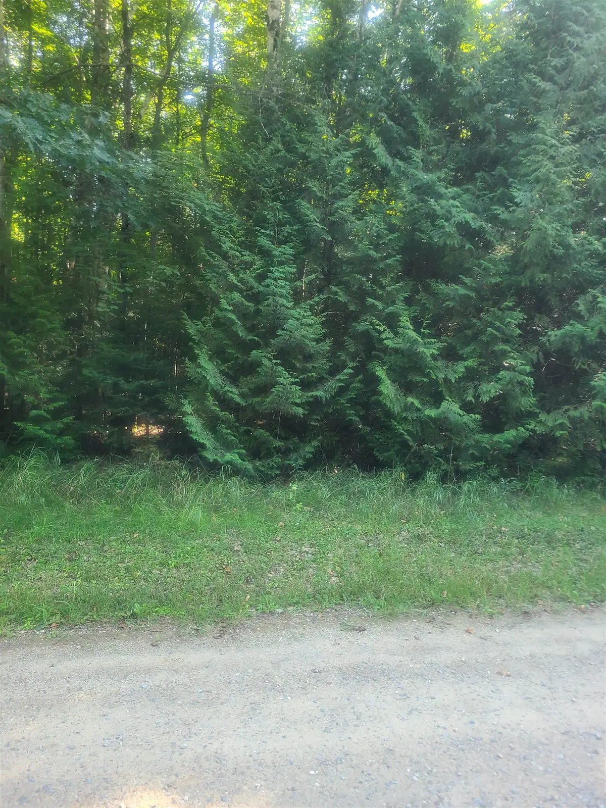 00 Birchwood, Oscoda, MI 48750 - #1
