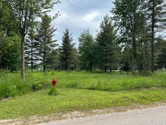 00 Manning, Baldwin, MI 48730 - #2
