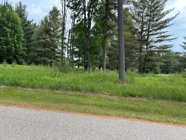 00 Manning, Baldwin, MI 48730 - #3