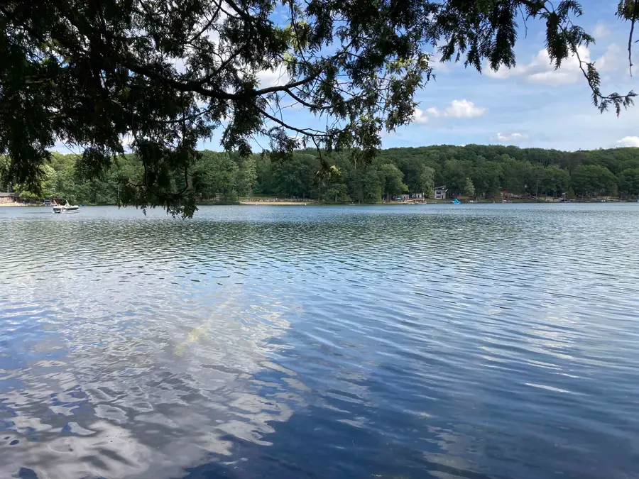 460 Ogemaw, Rose, MI 48654 - #2