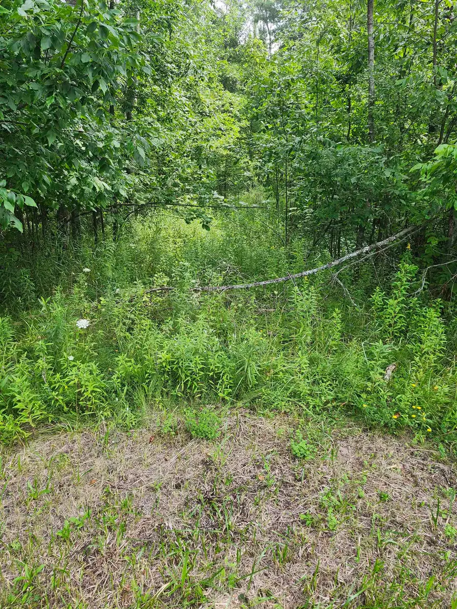2751 Boughner Lake, Prescott, MI 48756 - #2