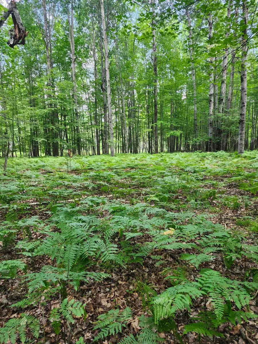 2751 Boughner Lake, Prescott, MI 48756 - #3