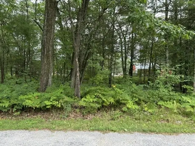 00 Wintergreen, Baldwin, MI 48730 - #1