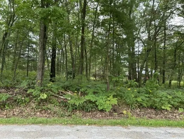 00 Wintergreen, Baldwin, MI 48730 - #2