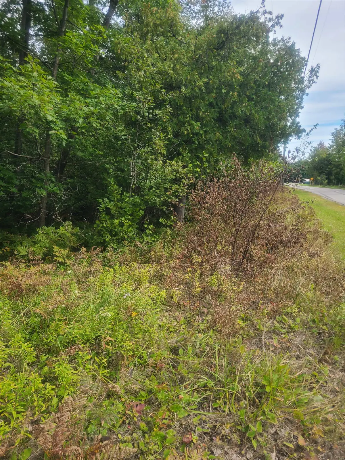 00 W Martel, Greenbush, MI 48738 - #1