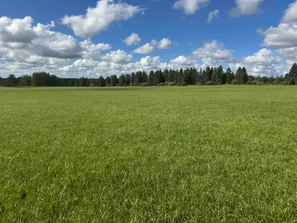0 Ora Lake, Hale, MI 48739