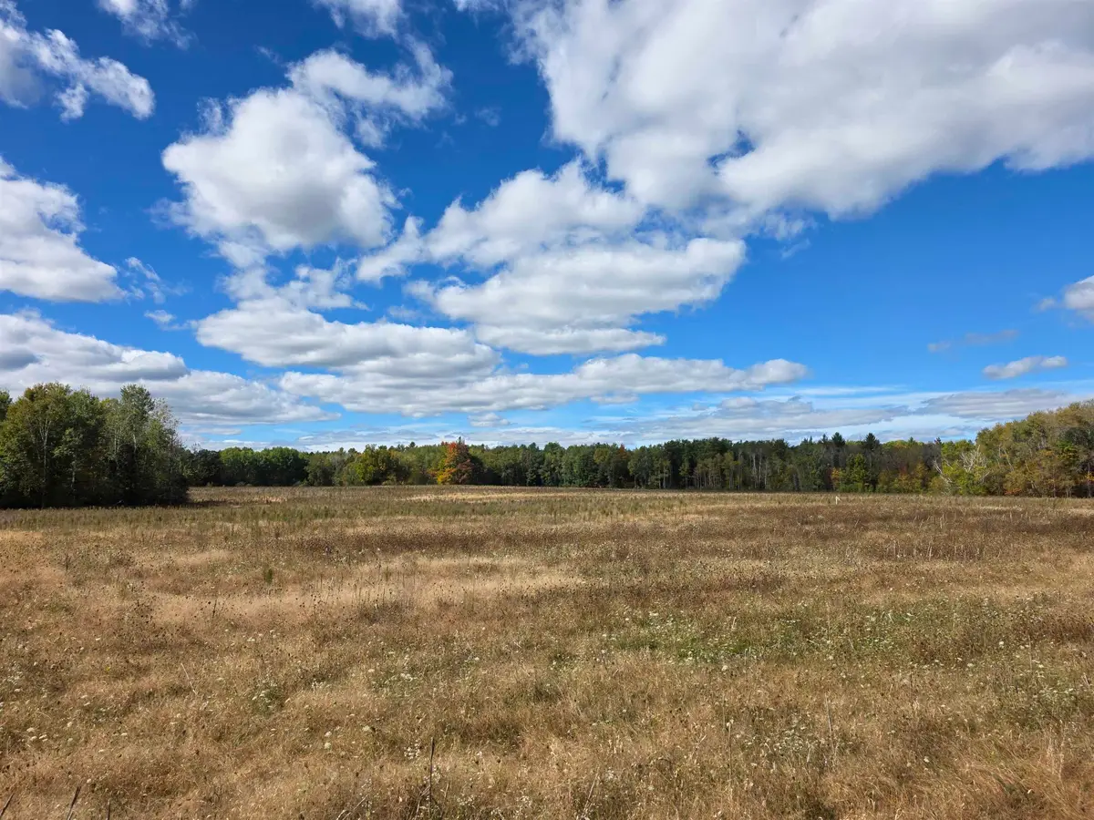00 Towerline, Hale, MI 48739 - #1