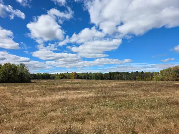00 Towerline, Hale, MI 48739