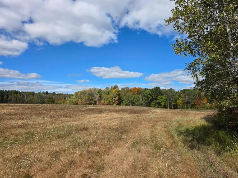 00 Towerline, Hale, MI 48739 - #2
