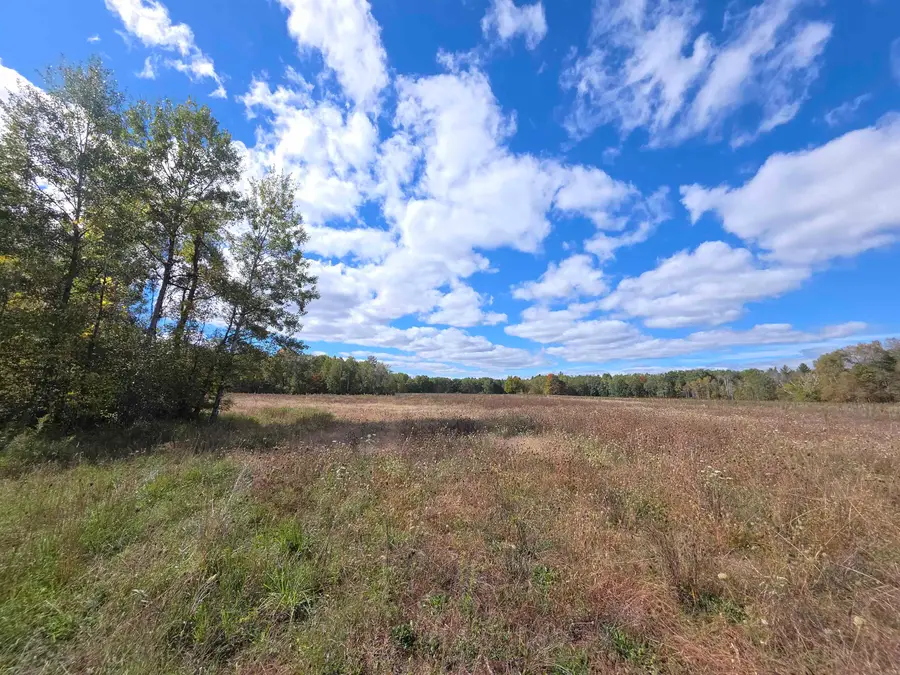 00 Towerline, Hale, MI 48739 - #3