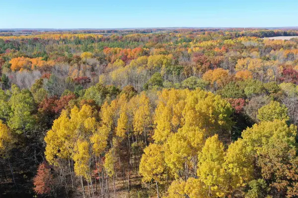 2166 Rifle River, WestBranch, MI 48661