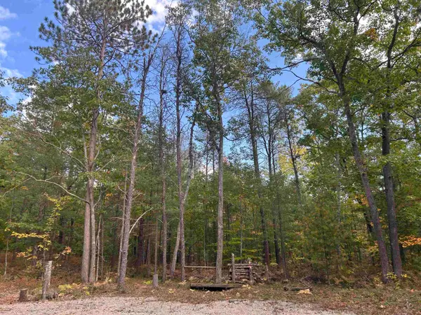 7335 Camp, Millersburg, MI 49759
