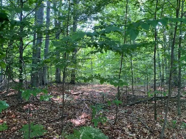 # 8 Mooney WAY, Kewadin, MI 49648 - #1