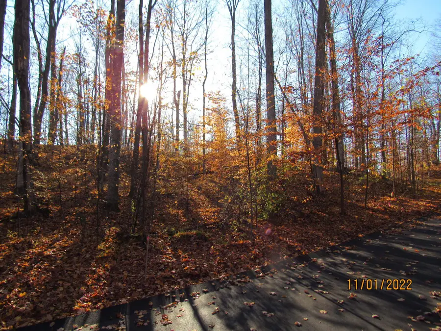 4169 Maple Hill, Grawn, MI 49637 - #2
