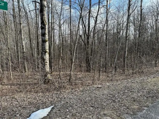 Lot 351 Dellwood, Elmira, MI 49730 - #2