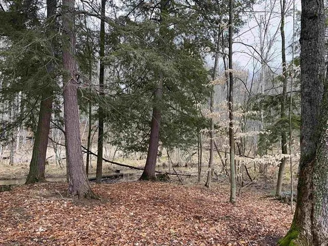 M-55, Wellston, MI 49689 - #2