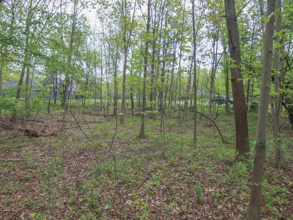 000-Unit 3 Ledgewood Ravine, Fenton, MI 48430