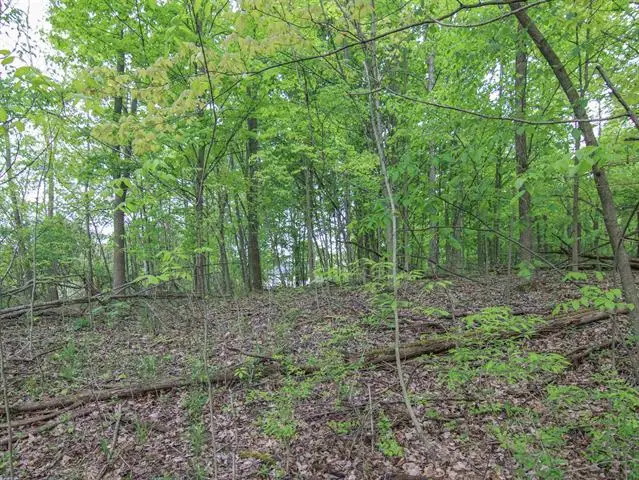 00-Lot 128 Ledgewood, Fenton, MI 48430 - #3
