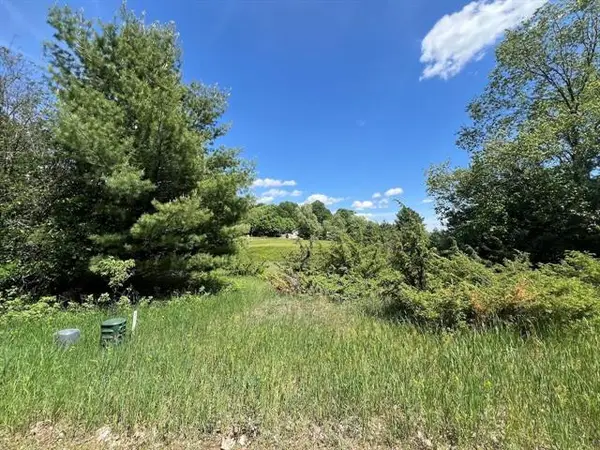 Unit 41 Talon, Bellaire, MI 49615