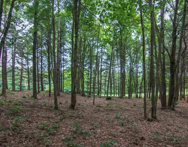 0000-Unit 39 Trailside, Thompsonville, MI 49683 - #3